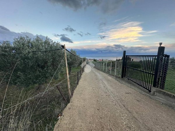 terreno agricolo in vendita a Trebisacce