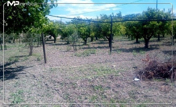 terreno agricolo in vendita a Villapiana