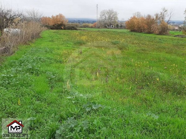 terreno agricolo in vendita a Villapiana