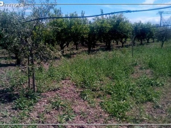 terreno agricolo in vendita a Villapiana
