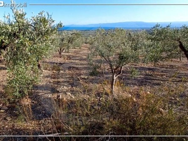 terreno agricolo in vendita a Villapiana