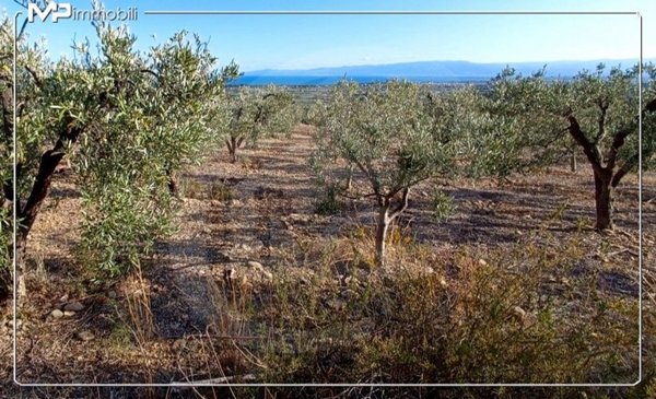 locale di sgombero in vendita a Villapiana