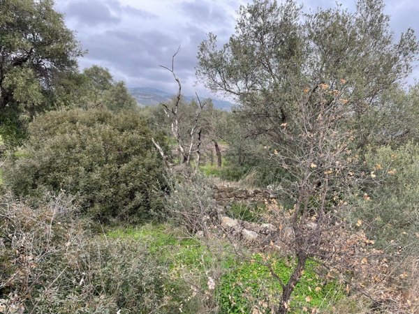 terreno agricolo in vendita a Villapiana