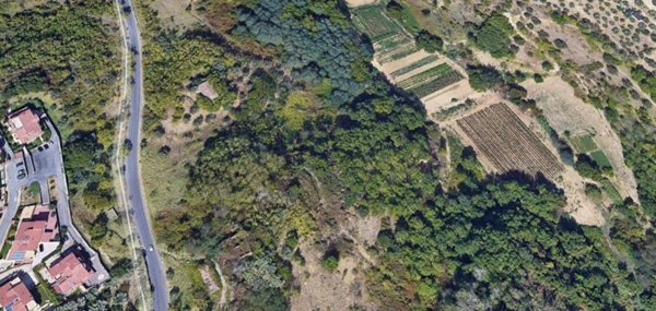 terreno agricolo in vendita a Zumpano