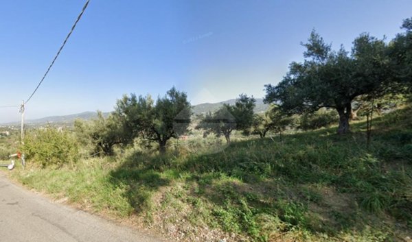 terreno agricolo in vendita a Zumpano