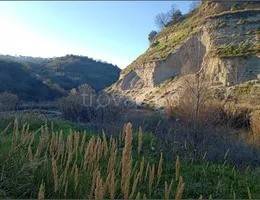 terreno agricolo in vendita a Zumpano