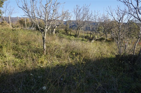 terreno edificabile in vendita a Casali del Manco in zona Serra Pedace