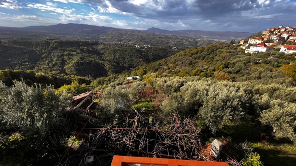 terreno agricolo in vendita a Casali del Manco