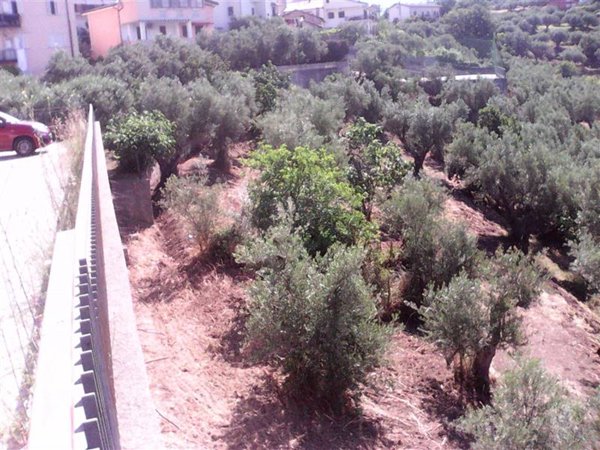 terreno agricolo in vendita a Casali del Manco in zona Trenta