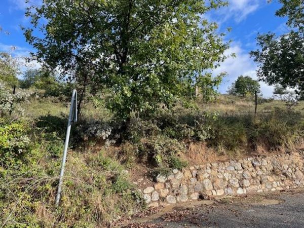 terreno agricolo in vendita a Casali del Manco in zona Casole Bruzio