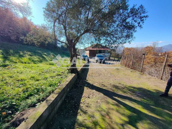 appartamento in vendita a Casali del Manco in zona Casole Bruzio