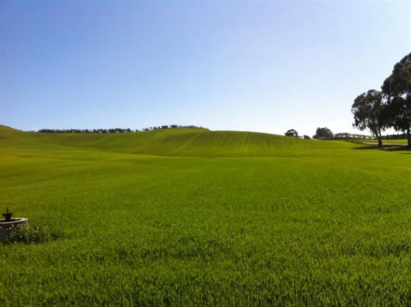 terreno agricolo in vendita a Casali del Manco