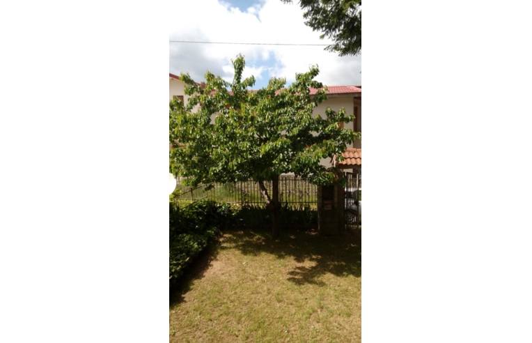 casa indipendente in vendita a Casali del Manco in zona Lorica