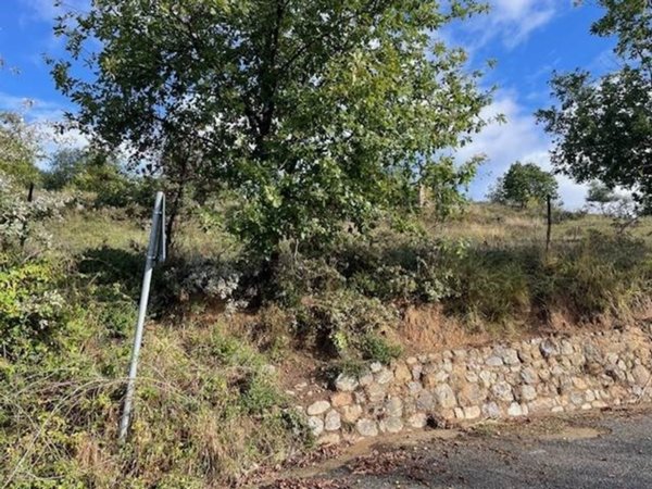 terreno agricolo in vendita a Casali del Manco