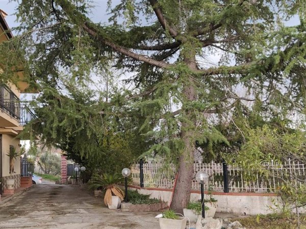 casa indipendente in vendita a Casali del Manco in zona Trenta