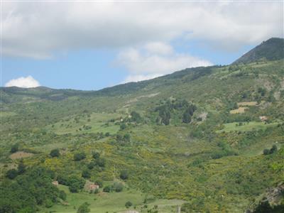 terreno agricolo in vendita a Corigliano-Rossano