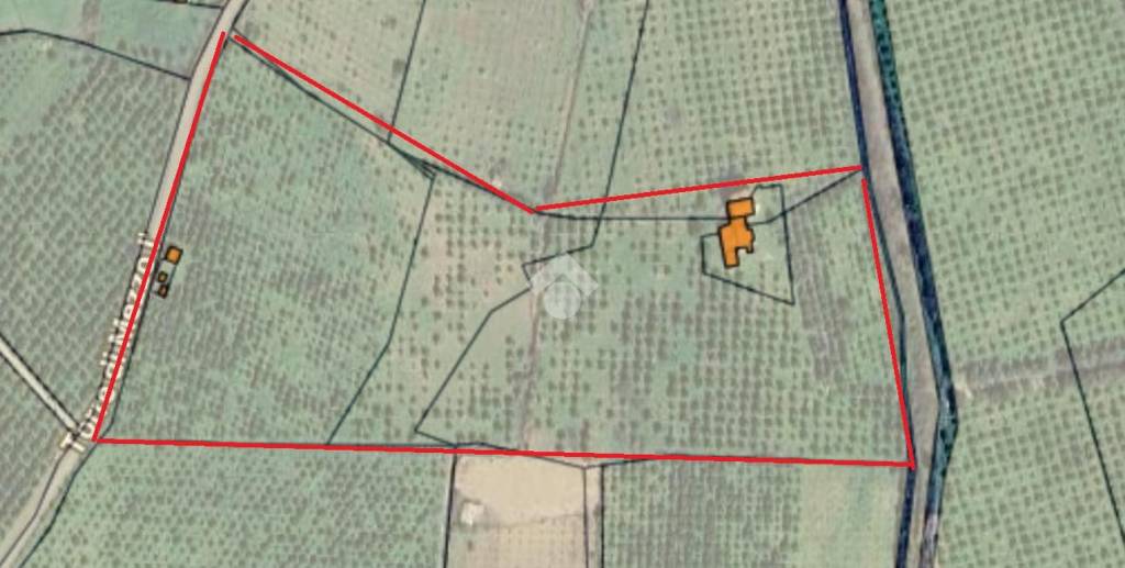 terreno agricolo in vendita a Corigliano-Rossano