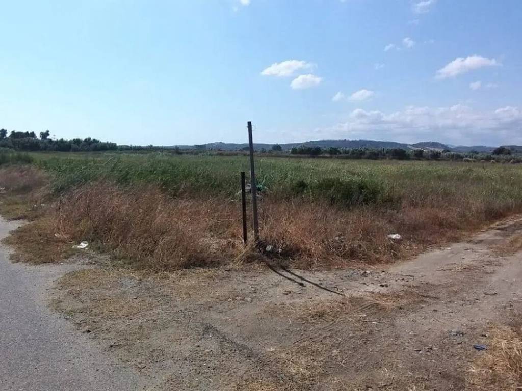 terreno agricolo in vendita a Corigliano-Rossano in zona Rossano