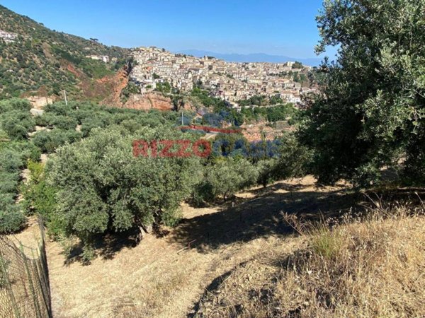 terreno agricolo in vendita a Corigliano-Rossano in zona Rossano