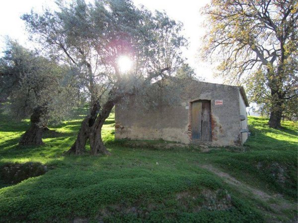 rudere in vendita a Corigliano-Rossano in zona Rossano