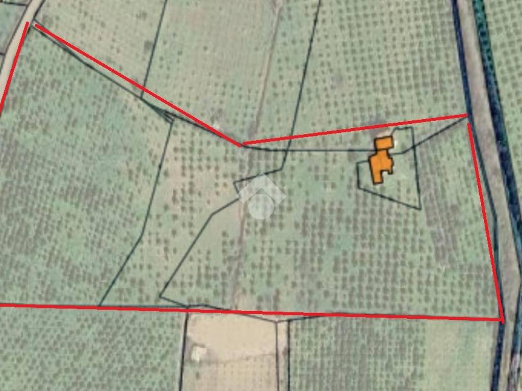 terreno agricolo in vendita a Corigliano-Rossano