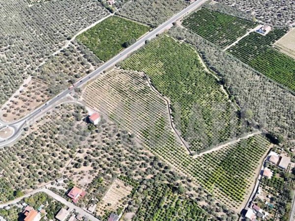 terreno agricolo in vendita a Corigliano-Rossano in zona Rossano