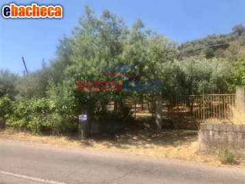 terreno agricolo in vendita a Corigliano-Rossano in zona Rossano