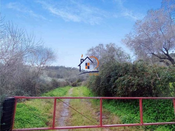 terreno agricolo in vendita a Corigliano-Rossano