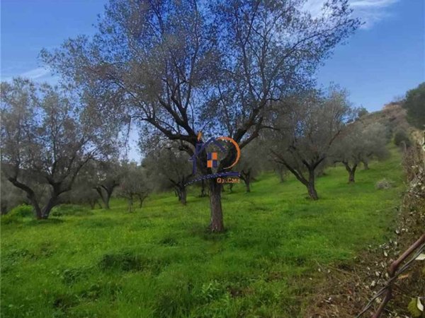 terreno agricolo in vendita a Corigliano-Rossano