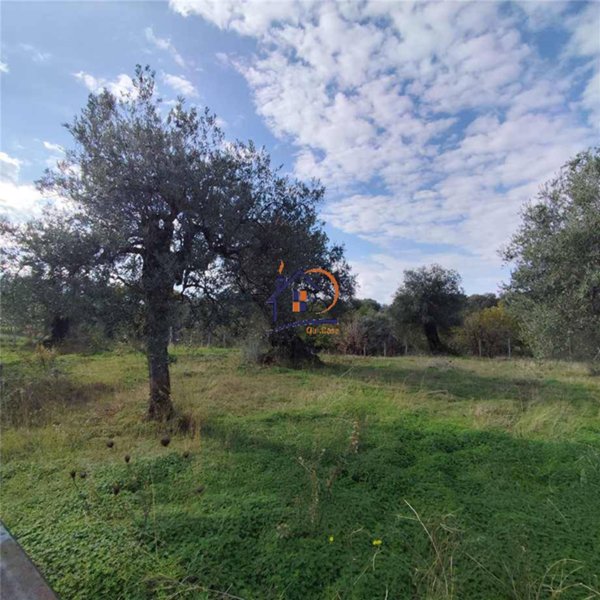 casa indipendente in vendita a Corigliano-Rossano