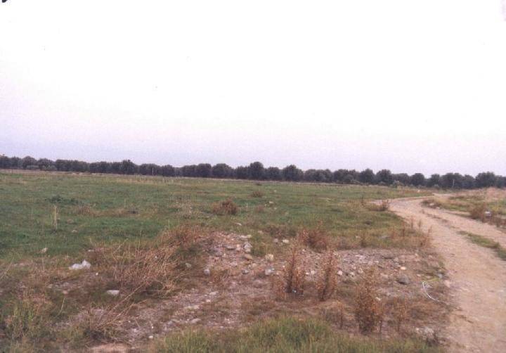 terreno edificabile in vendita a Corigliano-Rossano in zona Rossano
