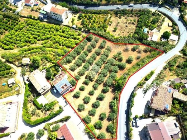 terreno agricolo in vendita a Corigliano-Rossano in zona Piragineti