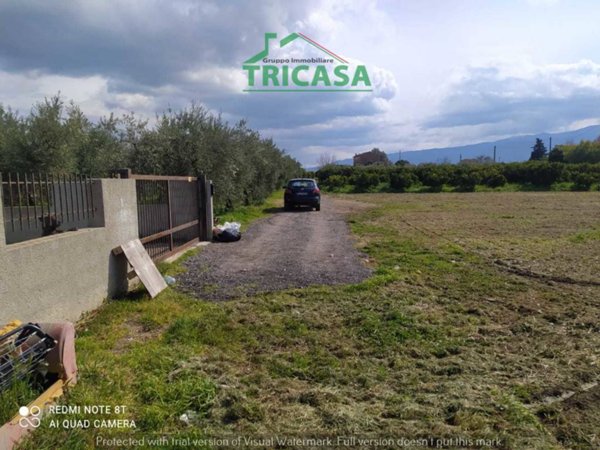 terreno agricolo in vendita a Corigliano-Rossano in zona Corigliano Calabro