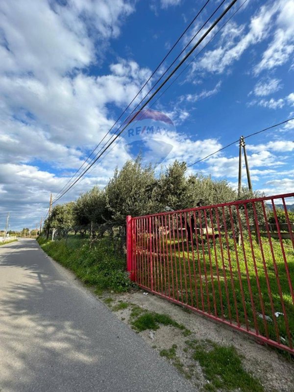 terreno agricolo in vendita a Corigliano-Rossano in zona Corigliano Calabro