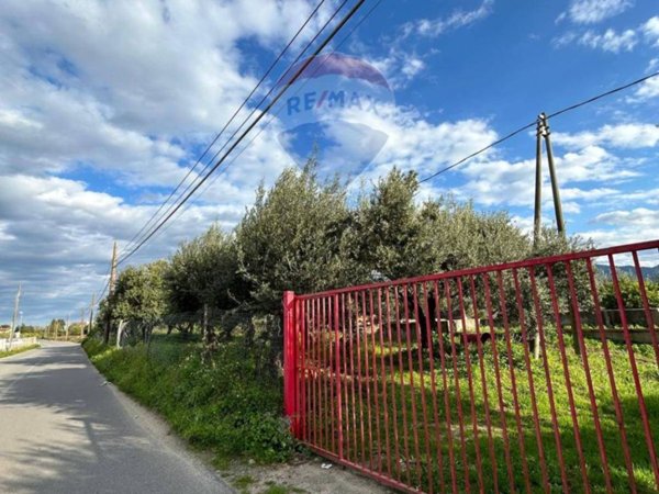 terreno agricolo in vendita a Corigliano-Rossano in zona Corigliano Calabro