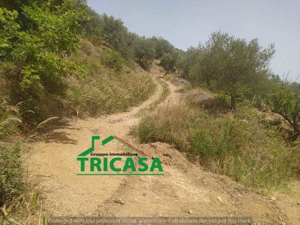 terreno agricolo in vendita a Corigliano-Rossano
