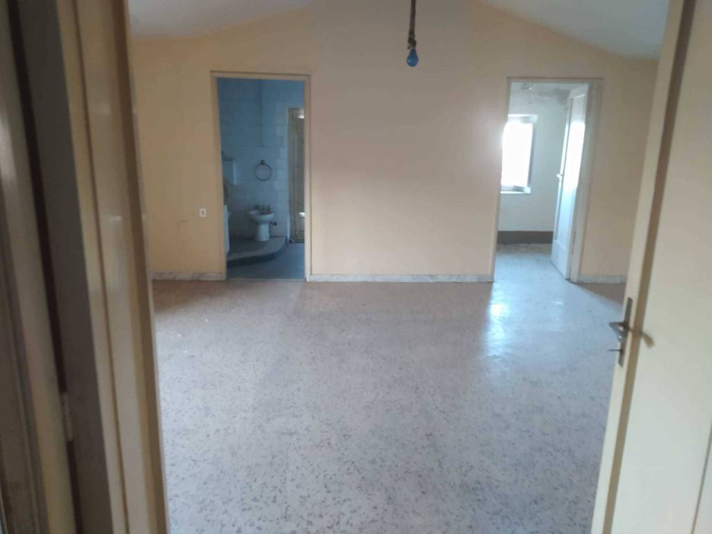 esavano in vendita a Corigliano-Rossano in zona Corigliano Calabro