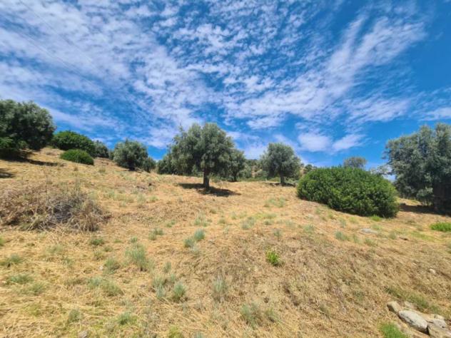 terreno agricolo in vendita a Corigliano-Rossano in zona Rossano