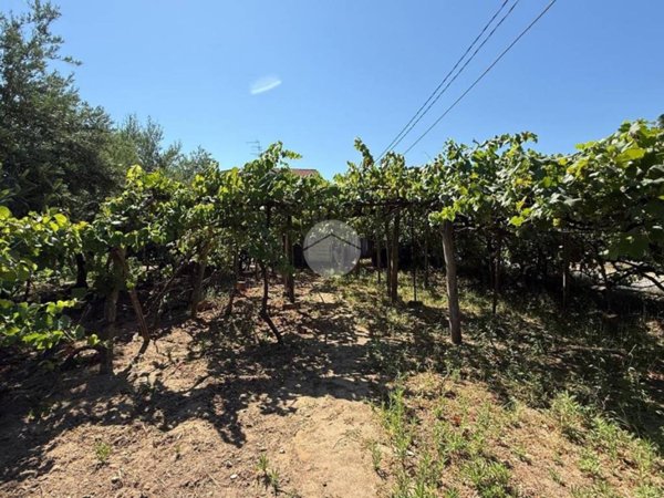 terreno agricolo in vendita a Corigliano-Rossano in zona Corigliano Calabro