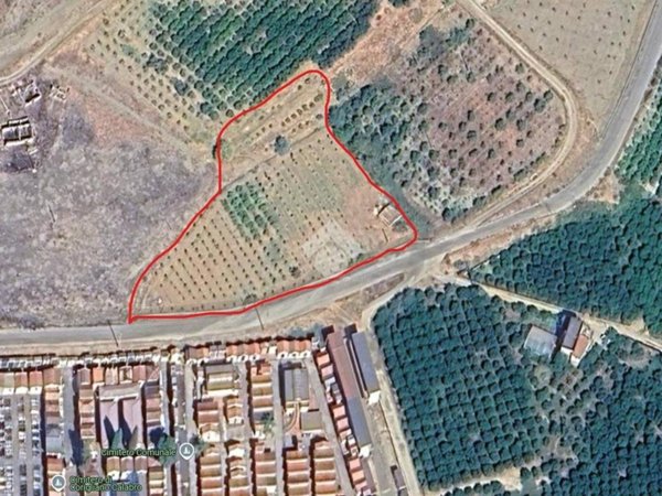 terreno agricolo in vendita a Corigliano-Rossano in zona Corigliano Calabro