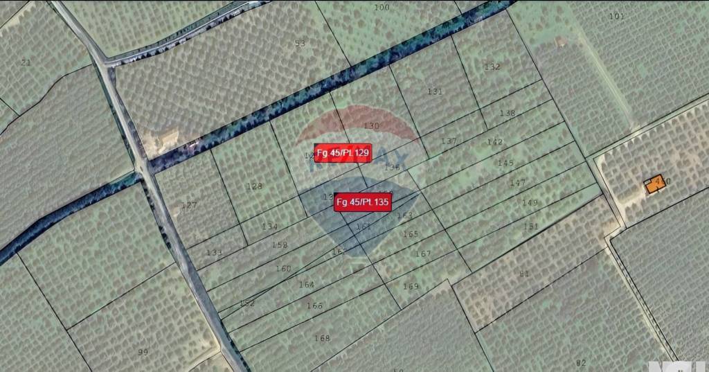 terreno agricolo in vendita a Corigliano-Rossano in zona Corigliano Calabro