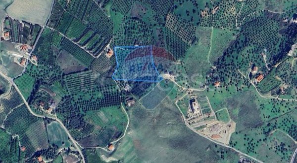 terreno agricolo in vendita a Corigliano-Rossano