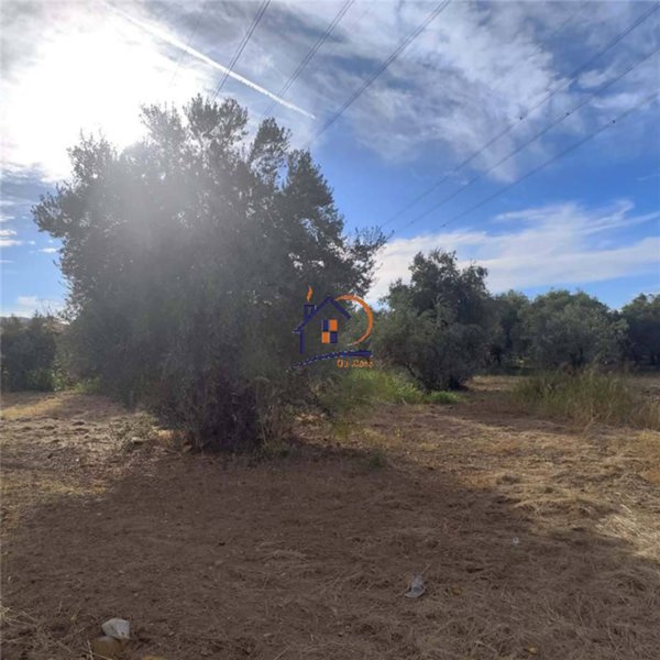 casa indipendente in vendita a Corigliano-Rossano