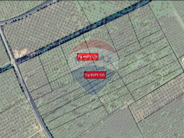 terreno agricolo in vendita a Corigliano-Rossano in zona Torricella