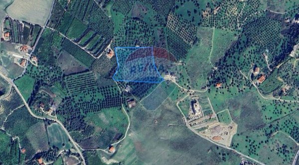 terreno agricolo in vendita a Corigliano-Rossano