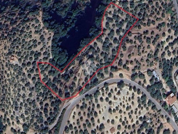 terreno agricolo in vendita a Corigliano-Rossano in zona Rossano