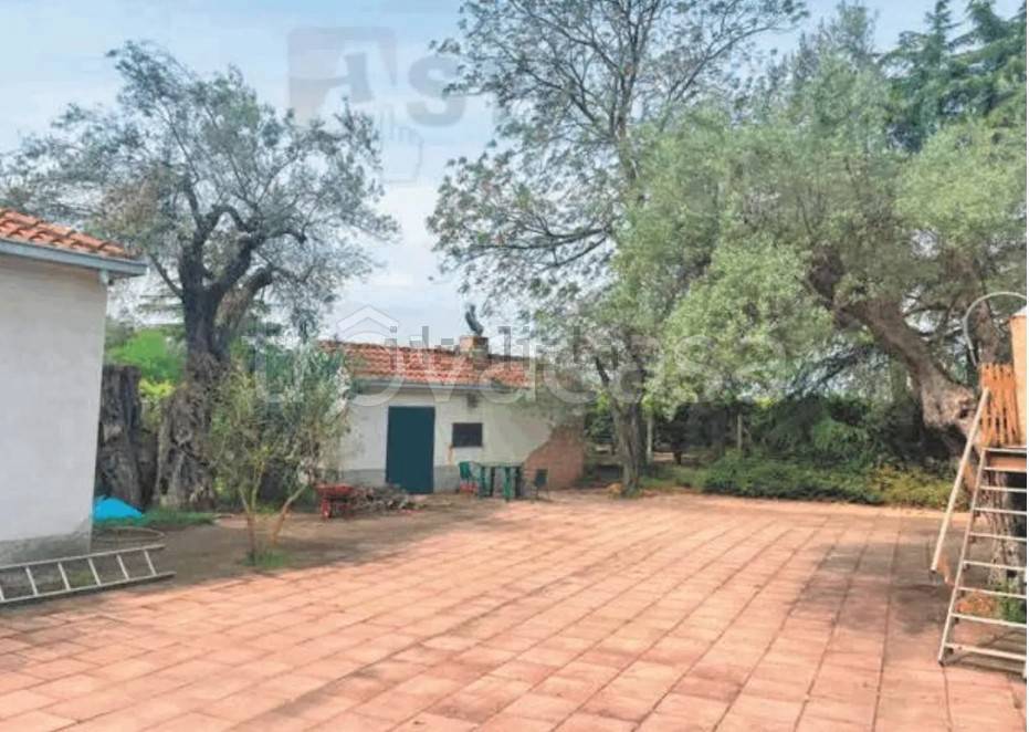 casa indipendente in vendita a Corigliano-Rossano in zona Rossano