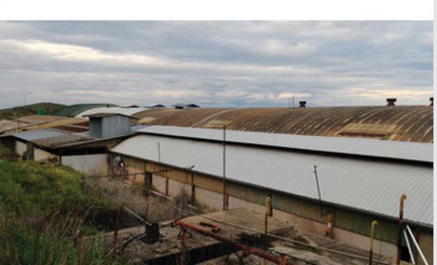 pentavano in vendita a Corigliano-Rossano in zona Corigliano Calabro