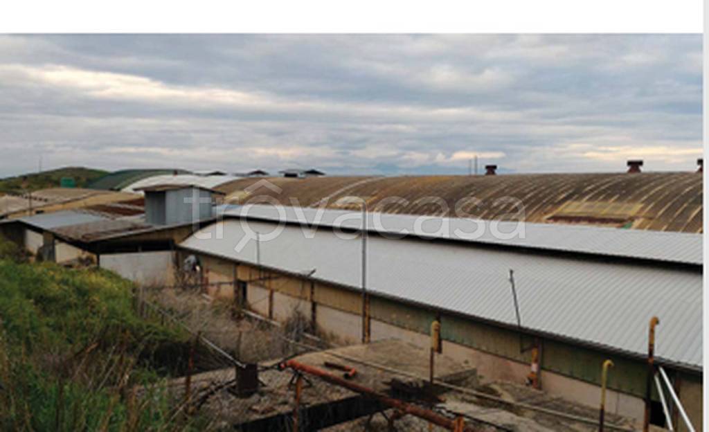 locale commerciale in vendita a Corigliano-Rossano in zona Corigliano Calabro