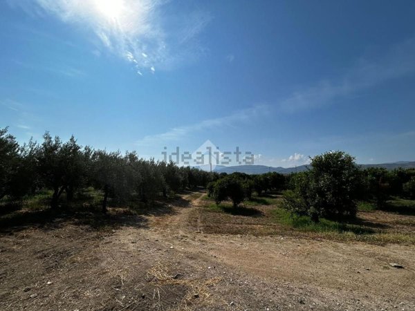 terreno agricolo in vendita a Corigliano-Rossano